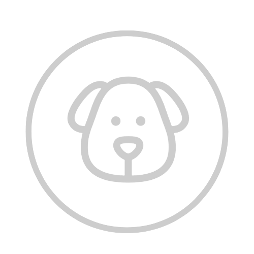 Nachhaltige Hundehaltung